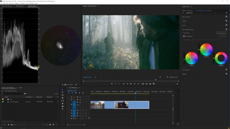 PR教程：Premiere Pro Lumetri 2020: Color Correct & Color Grade like a Pro ...